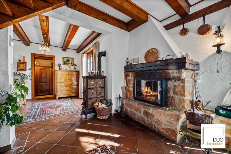 Authentic 7.5-room house (6)