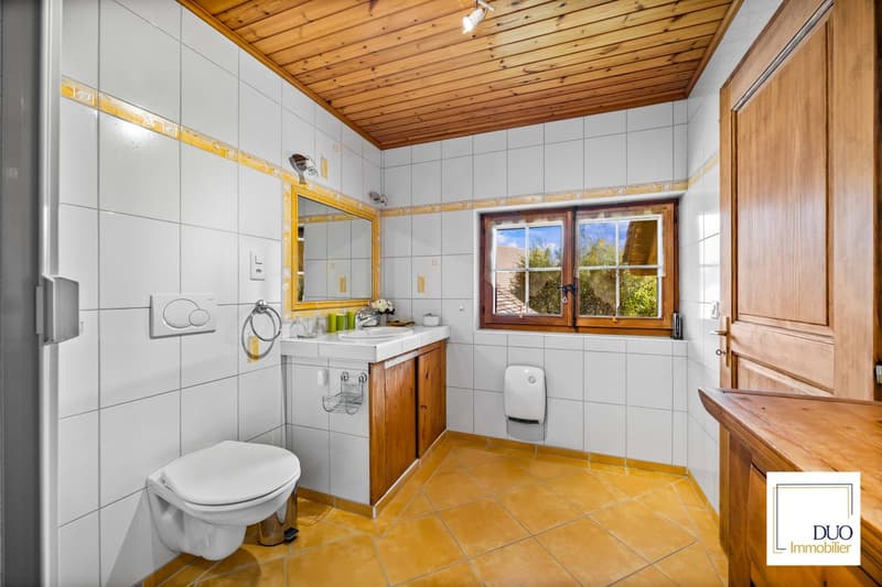 Authentic 7.5-room house (11)