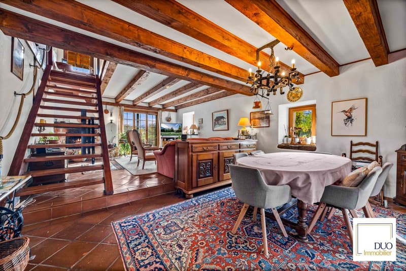 Authentic 7.5-room house (4)