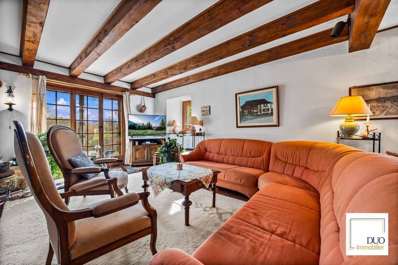 Authentic 7.5-room house (5)