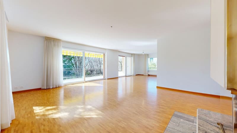 Spacious 4.5-room apartment in a quiet location and close to amenities (3)