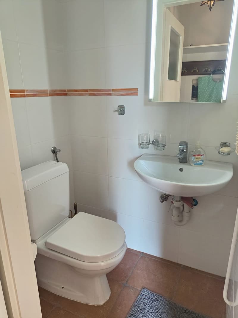 For rent 1.5-room furnished apartment with magnificent view in the center of Saint-Légier (VD) (7)