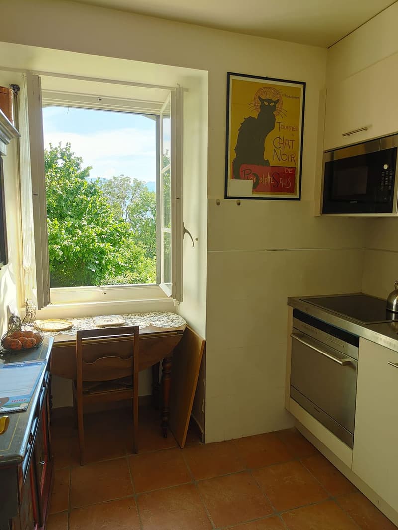 For rent 1.5-room furnished apartment with magnificent view in the center of Saint-Légier (VD) (4)