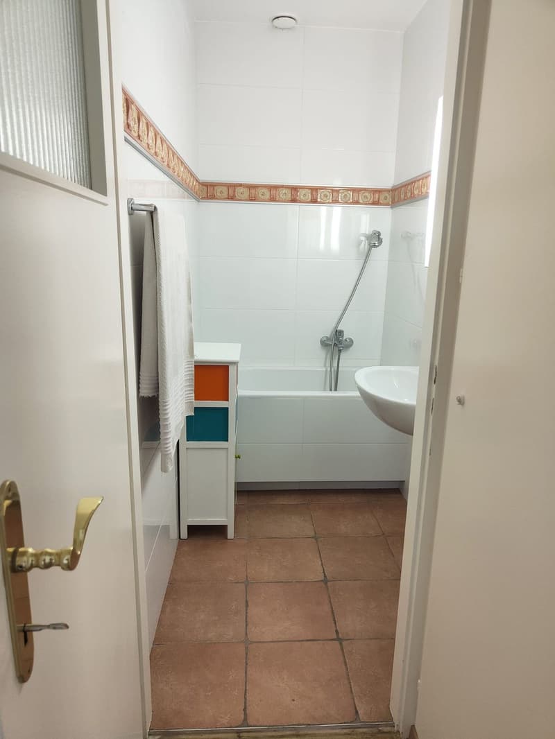 For rent 1.5-room furnished apartment with magnificent view in the center of Saint-Légier (VD) (5)
