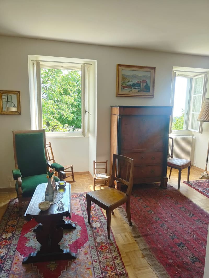 For rent 1.5-room furnished apartment with magnificent view in the center of Saint-Légier (VD) (3)