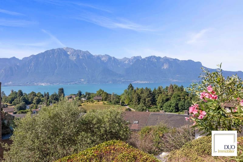 Unique with breathtaking view of the lake (8)