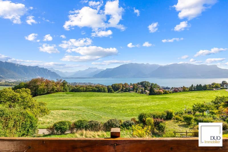 Maison mitoyenne de 5,5 pièces avec vue panoramique sur le lac Léman (1)
