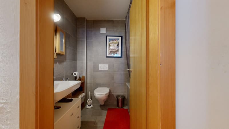 Magnifique et lumineux 3,5 pièces de 90m2 (6)