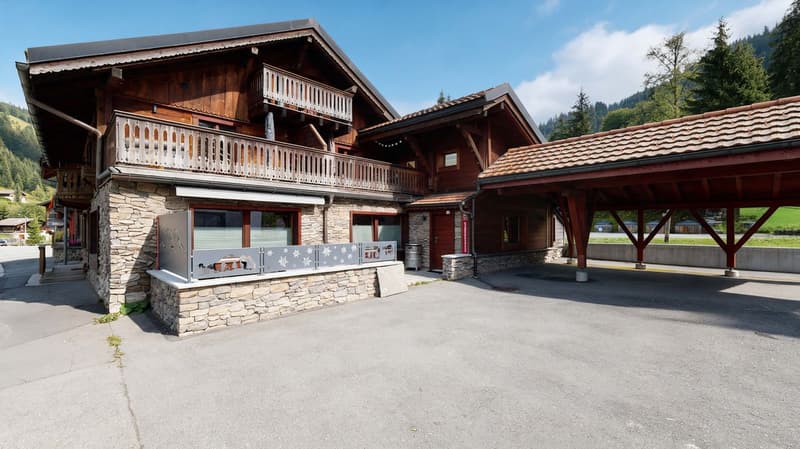 Magnifique et lumineux 3,5 pièces de 90m2 (7)