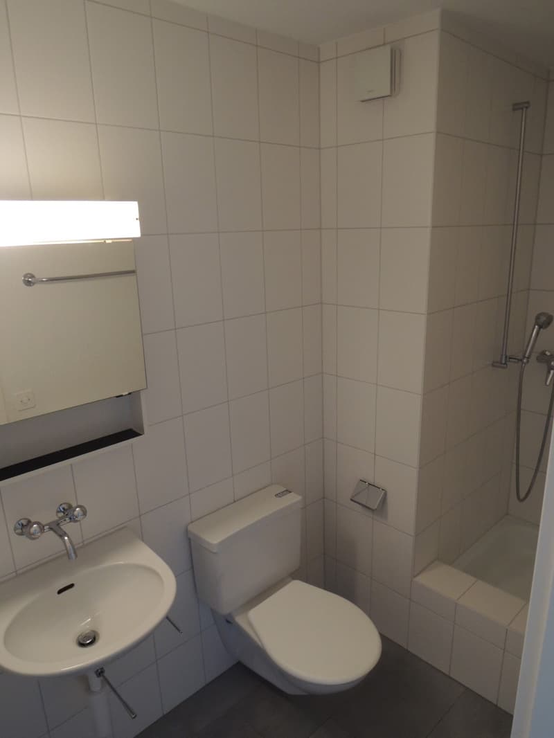 Appartement 5 ½ pièces à louer à Aarberg (8)