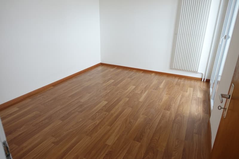 LA CHAUX-DE-FONDS - Magnificent 3-room apartment renovated (4)