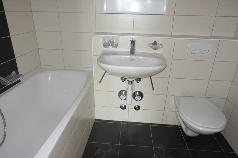 LA CHAUX-DE-FONDS - Magnificent 3-room apartment renovated (5)
