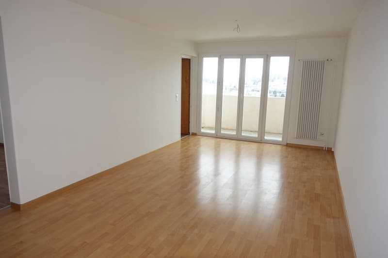 LA CHAUX-DE-FONDS - Magnificent 3-room apartment renovated (6)