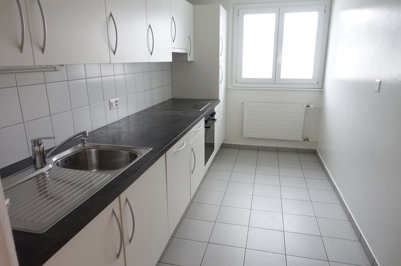 LA CHAUX-DE-FONDS - Magnificent 3-room apartment renovated (3)