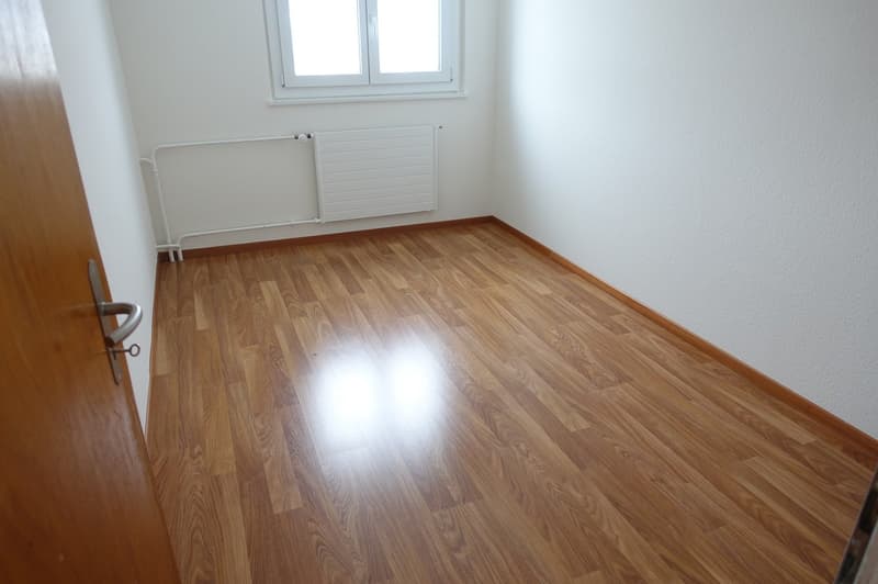 LA CHAUX-DE-FONDS - Magnificent 3-room apartment renovated (2)