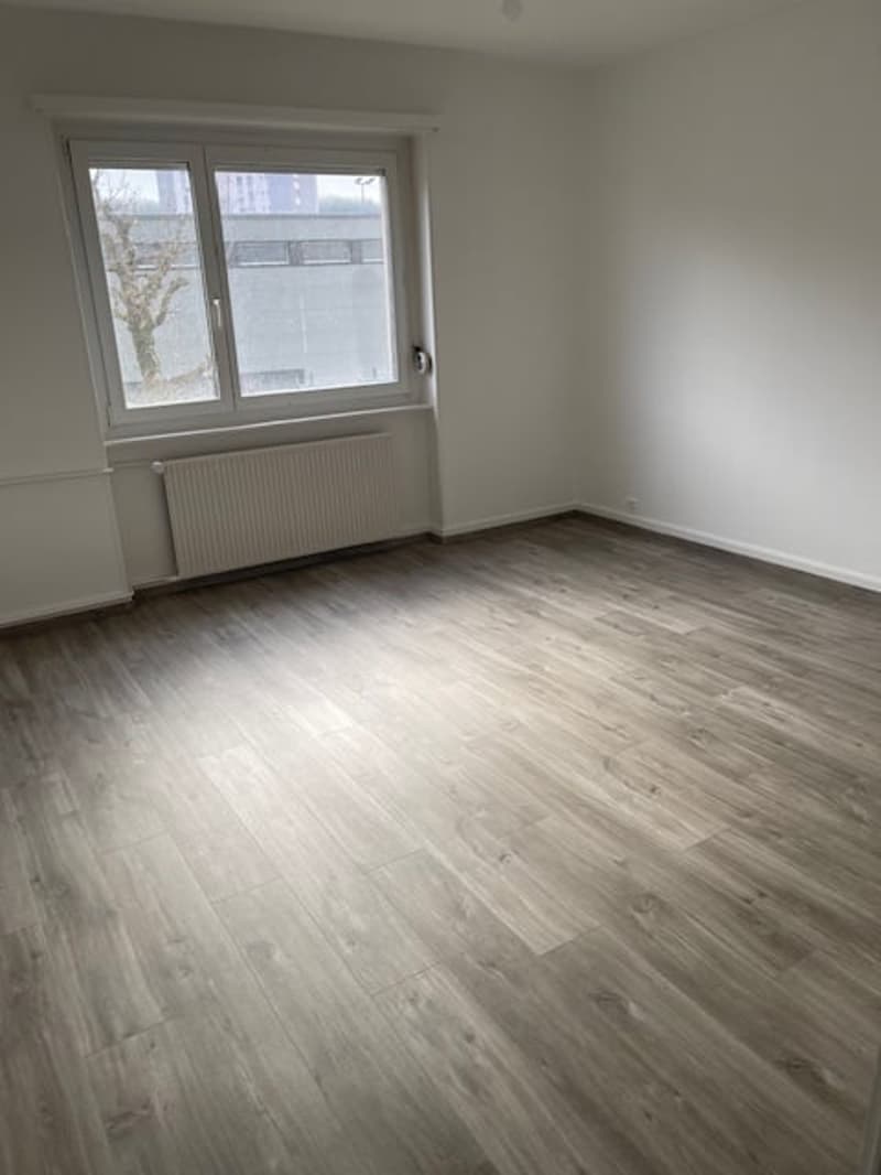 Appartamento luminoso di 3 locali a La Chaux-de-Fonds (2)