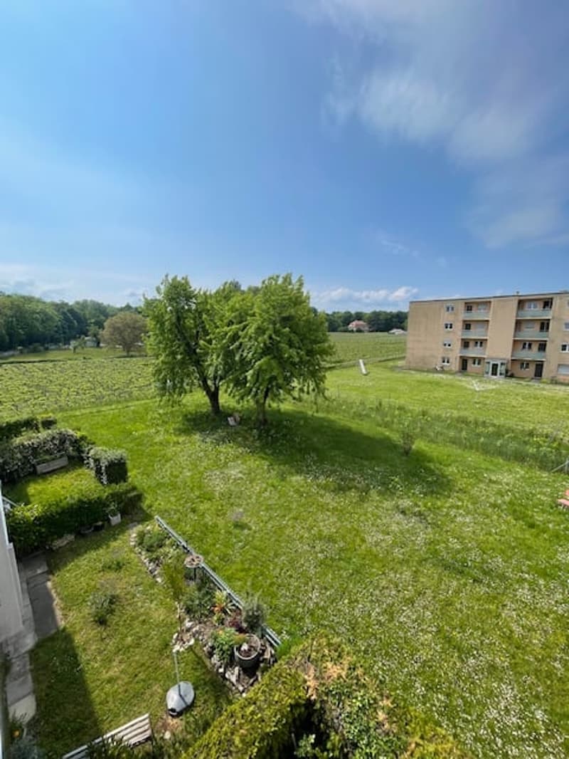 Bel Appartement 3 pièces rénové, calme, avec balcon à Cortaillod (7)