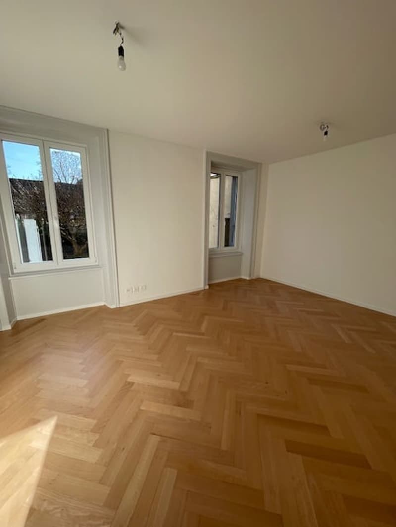 Bel appartement de 3 pièces rénové avec jardin commun - Centre de Bienne (5)