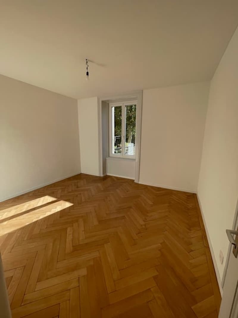 Bel appartement de 3 pièces rénové avec jardin commun - Centre de Bienne (6)