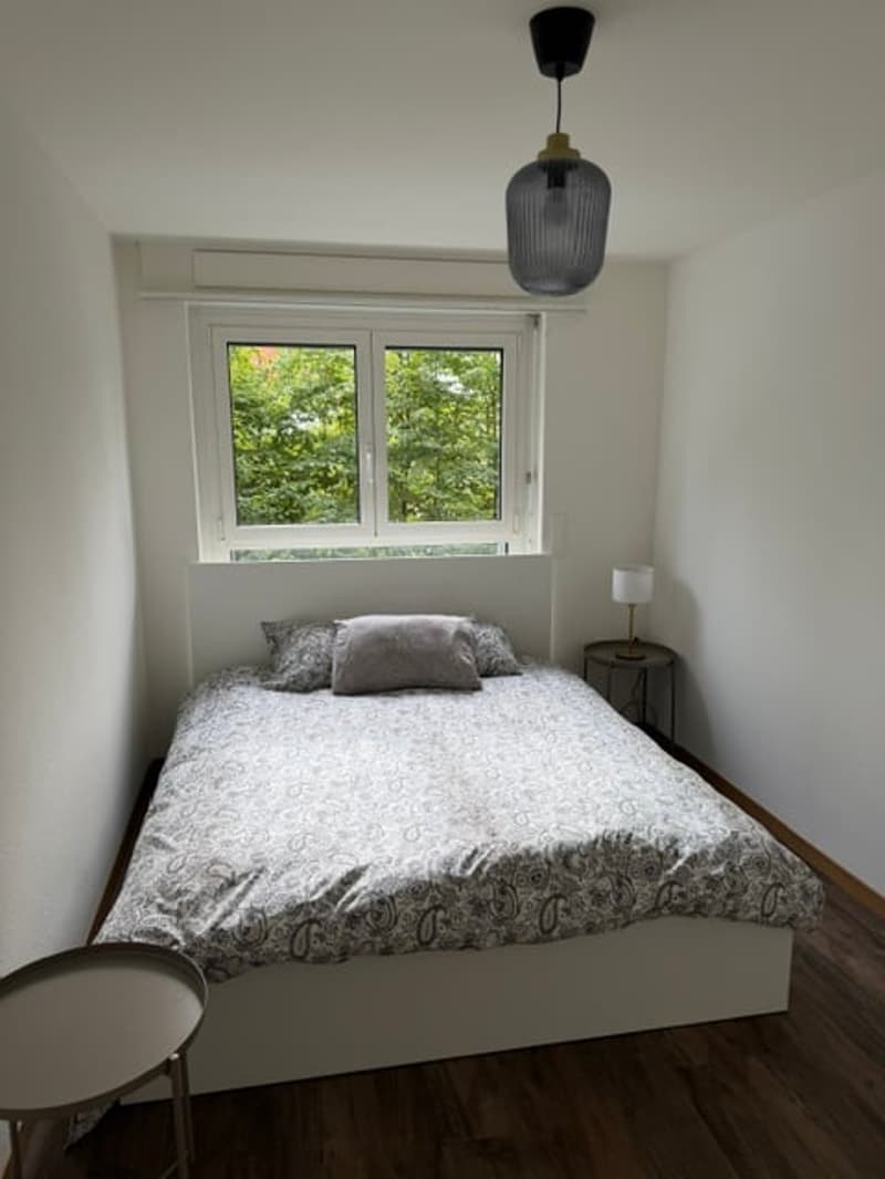 Charmant 2 pièces meublé et rénové - LA CHAUX-DE-FONDS (7)