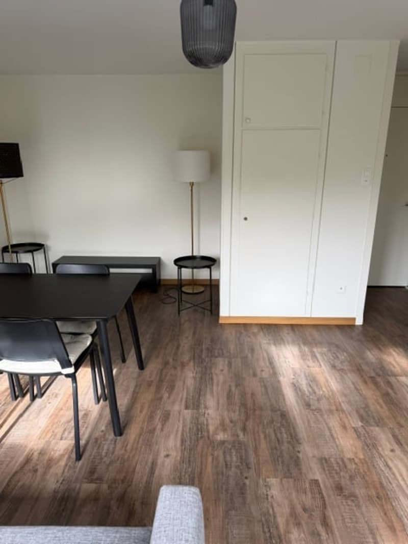 Charmant 2 pièces meublé et rénové - LA CHAUX-DE-FONDS (3)