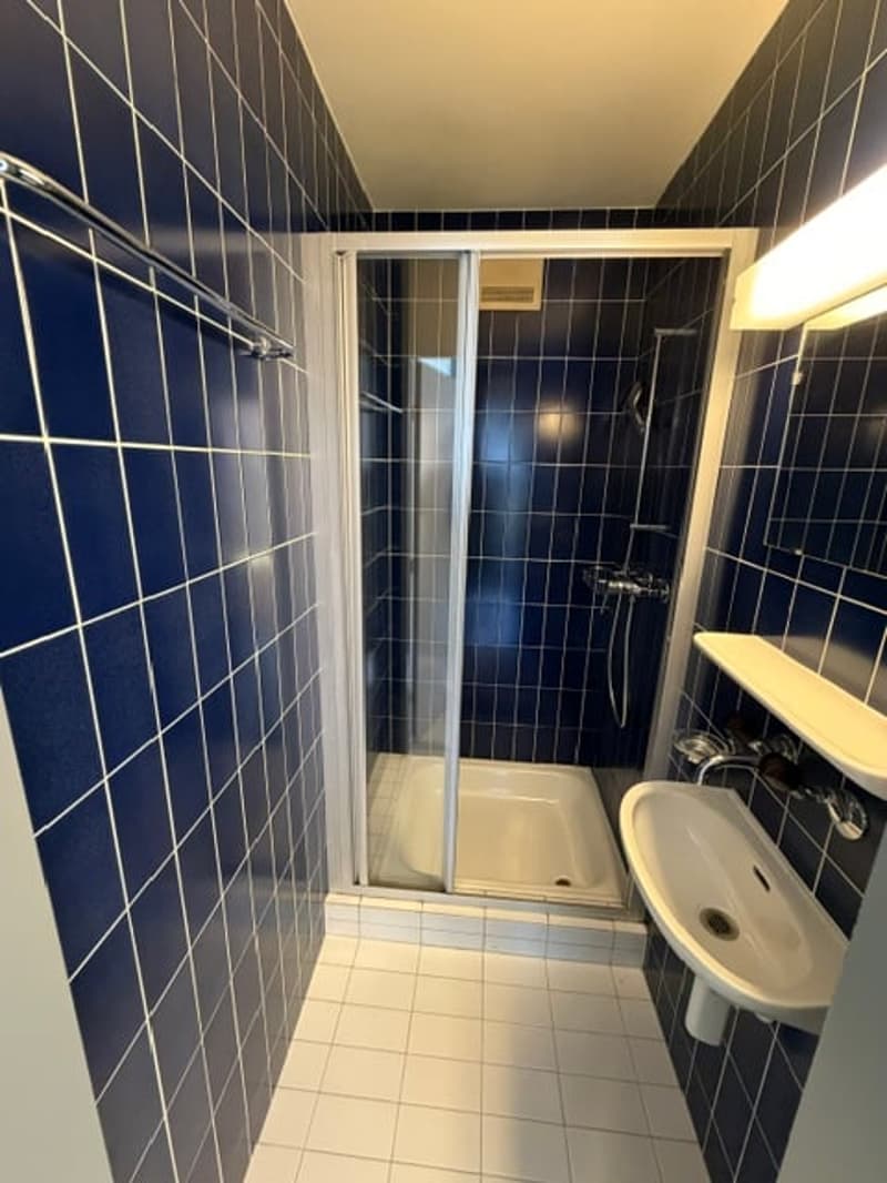 Appartement 4.5 pièces rénové avec balcon à CRESSIER (15)