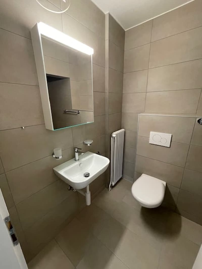 Beau 2pces rénové avec espace extérieur à La Neuveville (8)