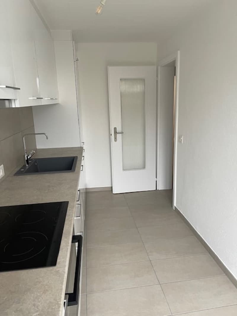 Beau 2pces rénové avec espace extérieur à La Neuveville (2)
