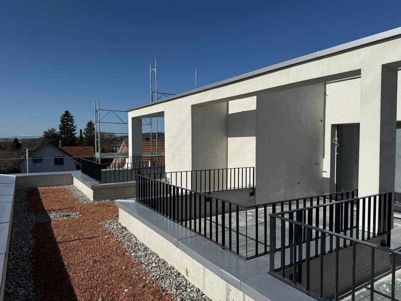 Exclusive semi-detached houses in Marly – your dream of a modern home (3)