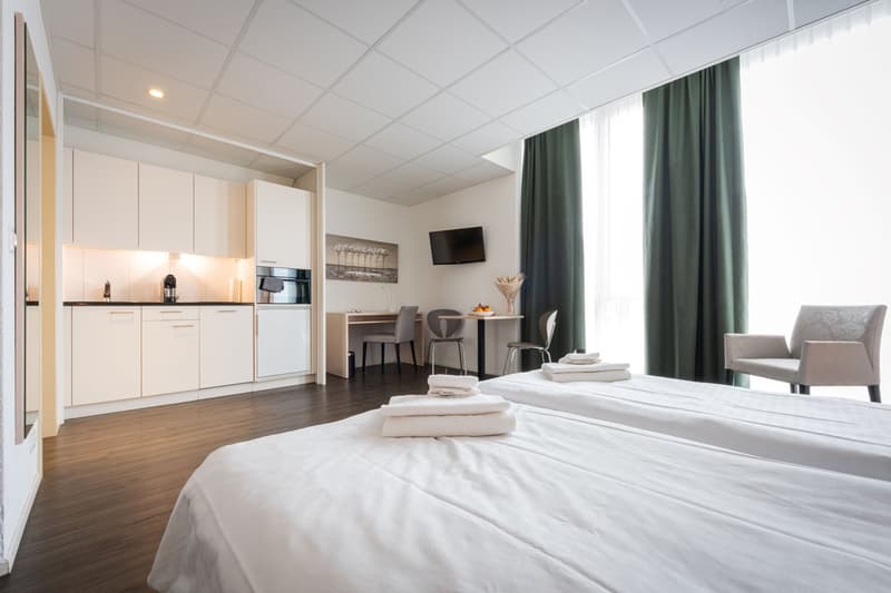 Spacious studio apartment with a kitchenette, dining area, and living space. The room features a large bed, a TV, and a seating area. The kitchenette is equipped with a dishwasher and a private washing machine.