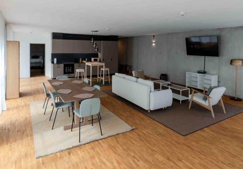 NEU - Loft Apartment mit Hotelservices - ab CHF 139.-/Nacht (15)