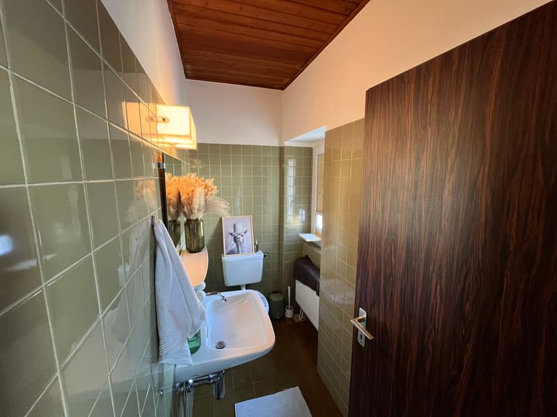 Charming semi-detached house with 4 rooms, terrace, vaulted cellar and garage in Grandfontaine (13)