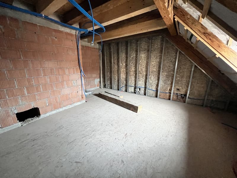 Spacious apartment in the old town (in the final stages) with private elevator (4)