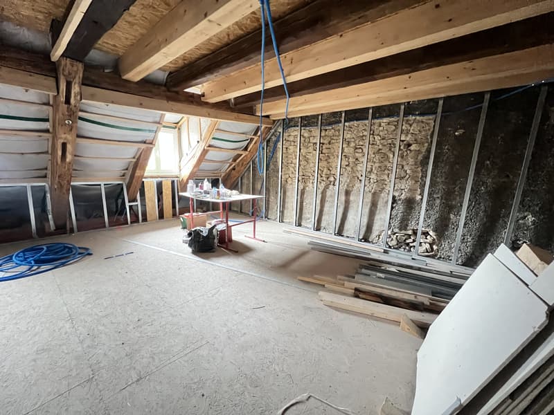 Spacious apartment in the old town (in the final stages) with private elevator (5)