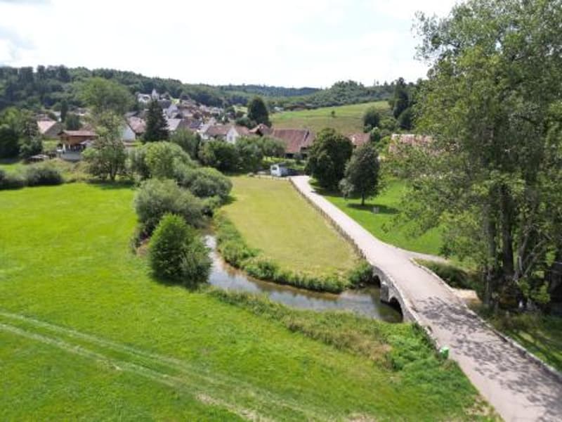 Petit immeuble avec jardin   Produit d'investissement à saisir à Courtemaîche (3)