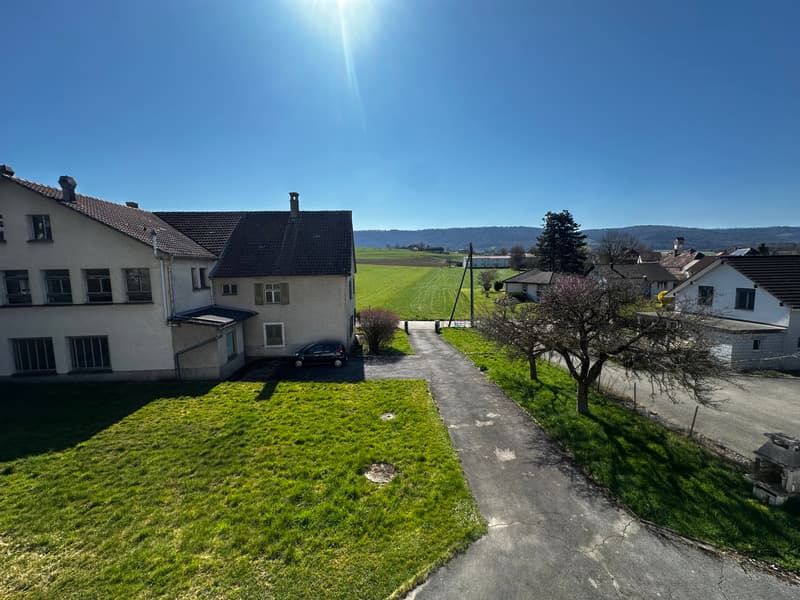 Grande casa familiare in zona tranquilla a Fontenay (2)