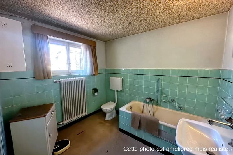 Grande casa familiare in zona tranquilla a Fontenay (10)