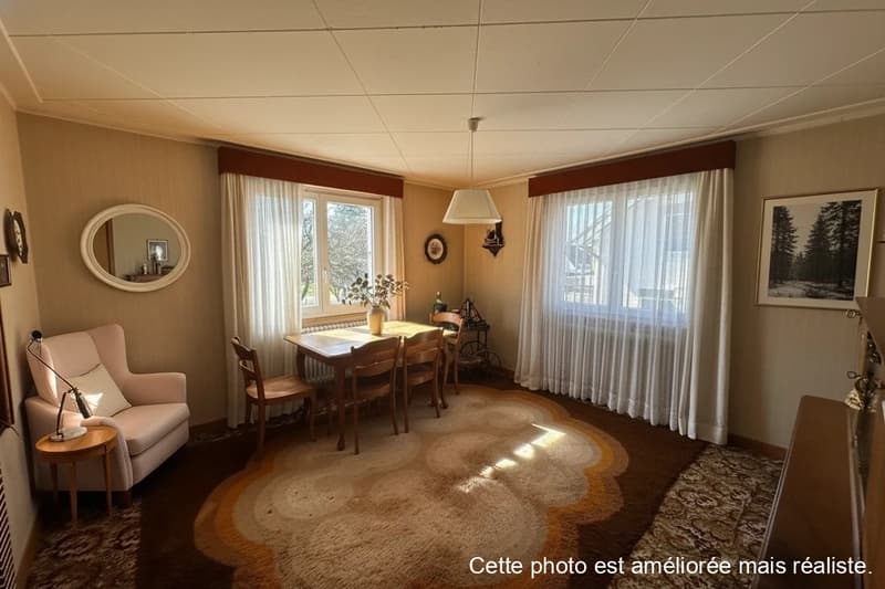 Grande casa familiare in zona tranquilla a Fontenay (8)