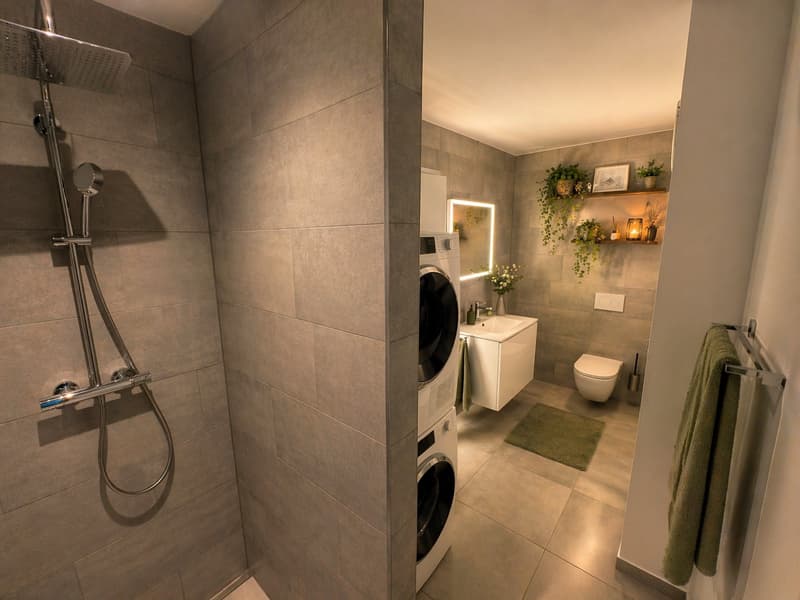 Magnificent 4-room attic apartment in Porrentruy (5)