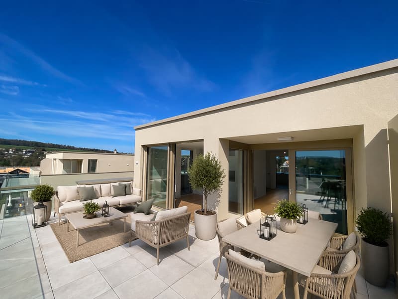 PREMIUM ATTIC with 105 m² terrace, bright and modern - 5.5 rooms (4)