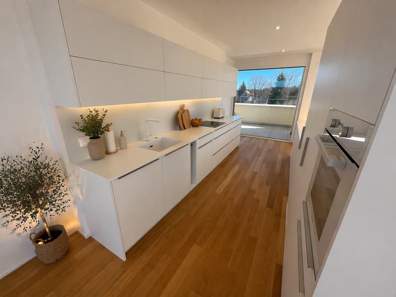 Magnificent duplex with large 32 m² terrace, bright and modern (2)