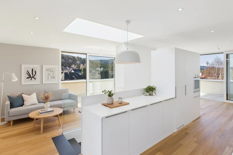 Magnificent duplex with large 32 m² terrace, bright and modern (3)