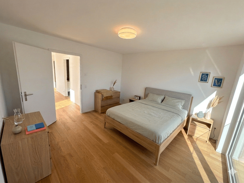 Magnificent duplex with large 32 m² terrace, bright and modern (8)
