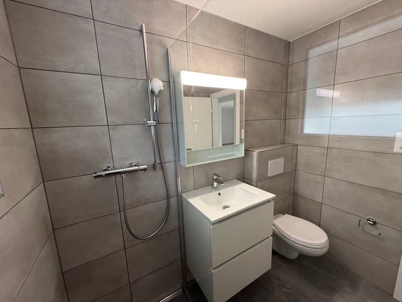 Frisch renoviertes Haus im Herzen von Vicques (10)