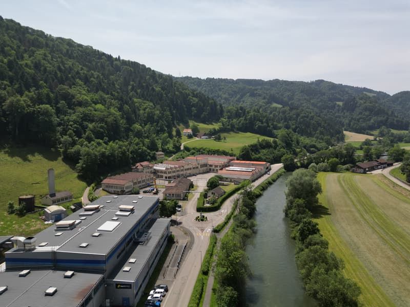 Locaux commerciaux, artisanaux ou de stockage à louer à Saint-Ursanne (11)
