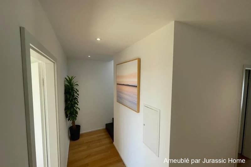Magnificent duplex with large 45 m² terrace, bright and modern (9)