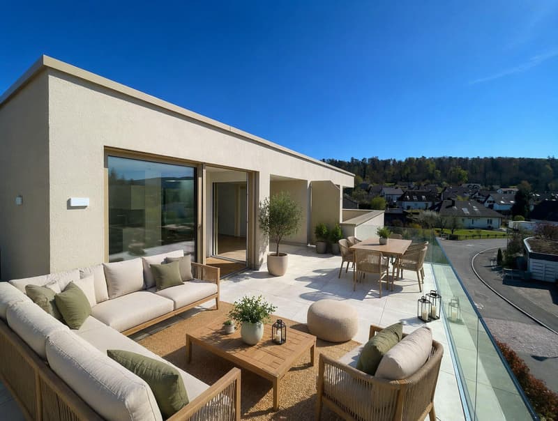 Magnificent duplex with large 45 m² terrace, bright and modern (4)