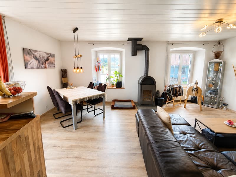 Opportunité unique de 2 maisons mitoyennes avec jardin, terrasse, cave voûtée et garages à Grandfontaine (4)