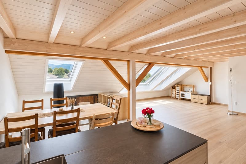 Lumineux Loft en attique de 4.5 pièces à Alle (5)