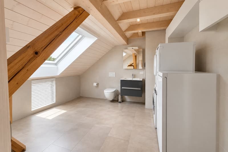 Lumineux Loft en attique de 4.5 pièces à Alle (11)